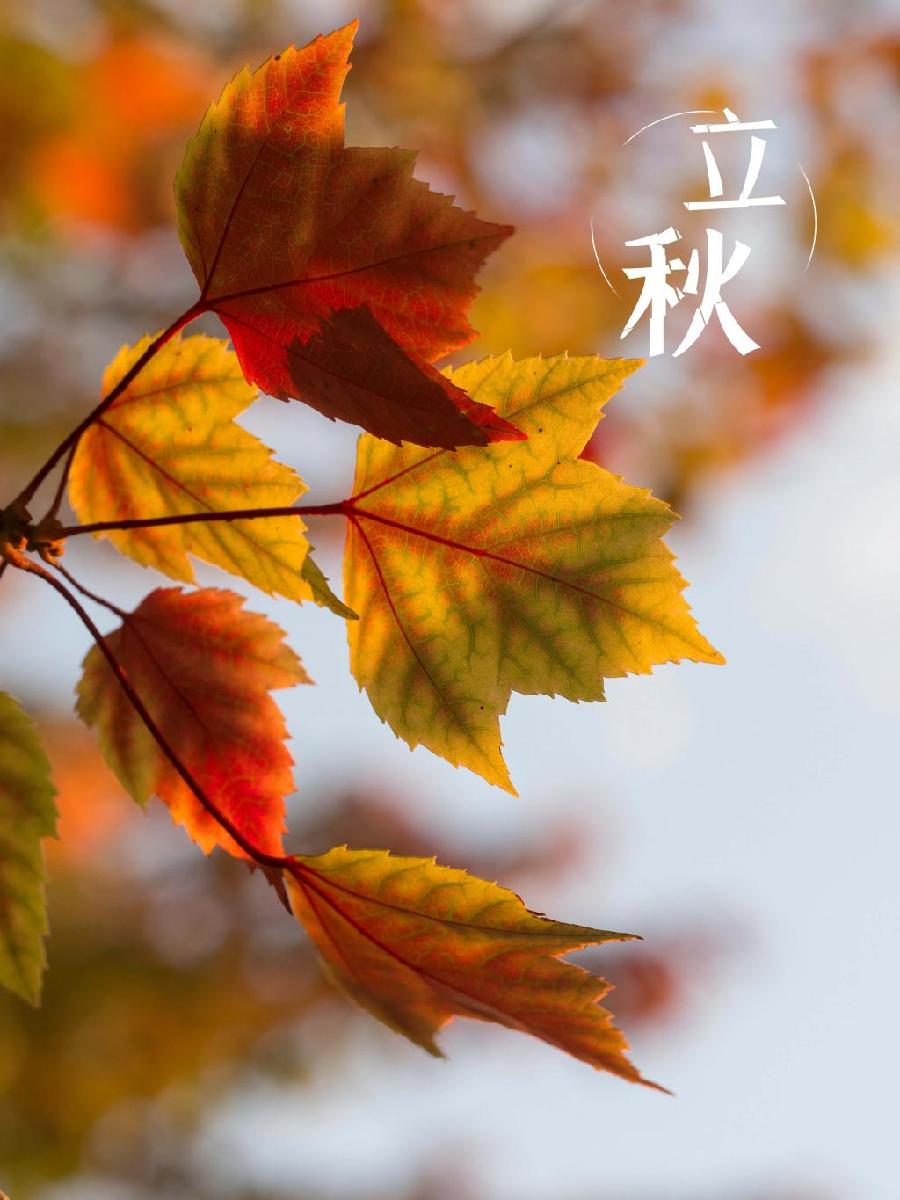 【神州源流诗苑】第1011期优秀近体诗《都市头条》周刊(图10)