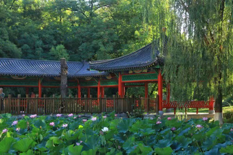 【荣耀中国】张树元诗词欣赏（图2）