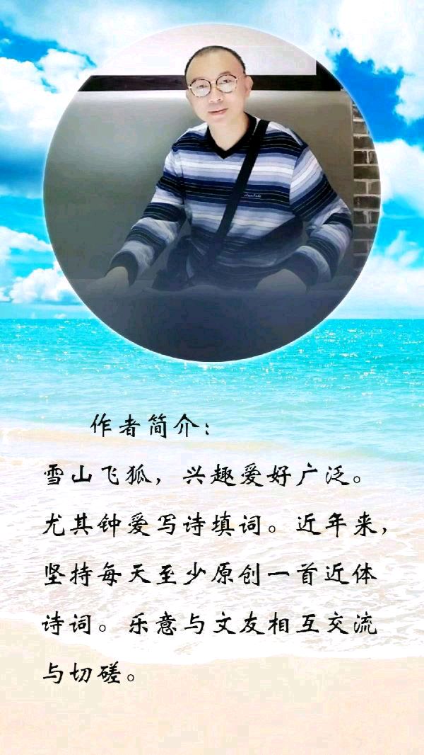 中华诗艺黑龙江分社微刊第169期(图48)