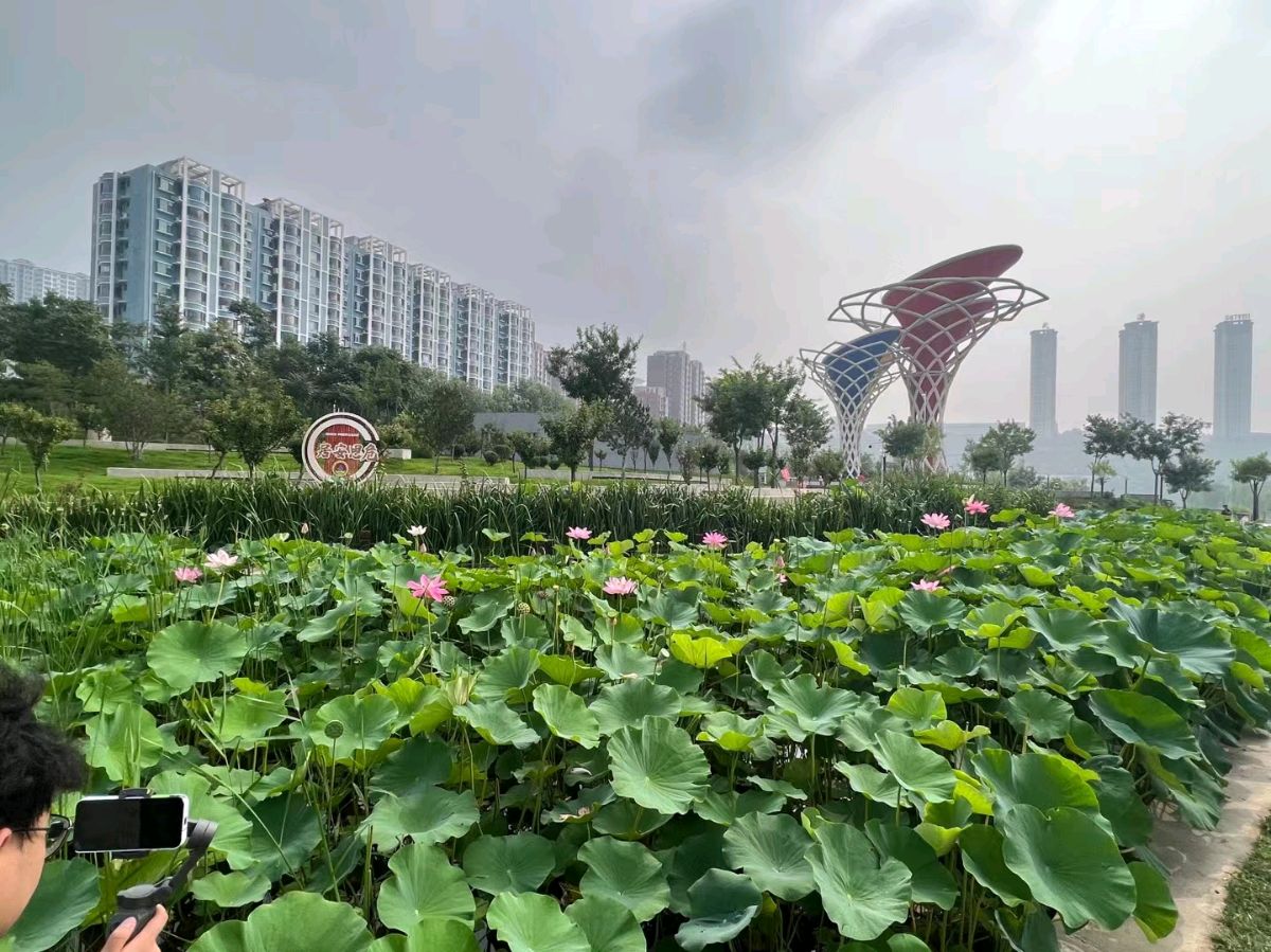 护绿”有我 向美好生活而行(图5)