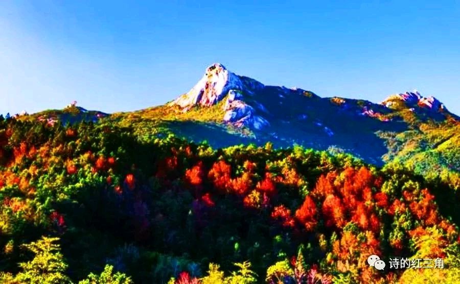 邀请你走进这“广东香格里拉”，欢迎你观赏云髻山“纸上芭蕾”——段大刚作品展将带来绝妙艺术感受！（图2）