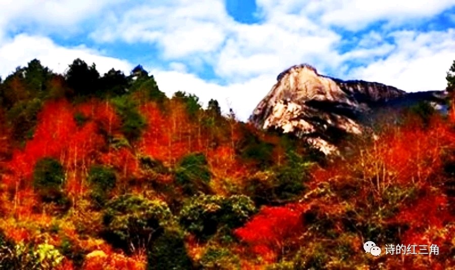 邀请你走进这“广东香格里拉”，欢迎你观赏云髻山“纸上芭蕾”——段大刚作品展将带来绝妙艺术感受！（图4）