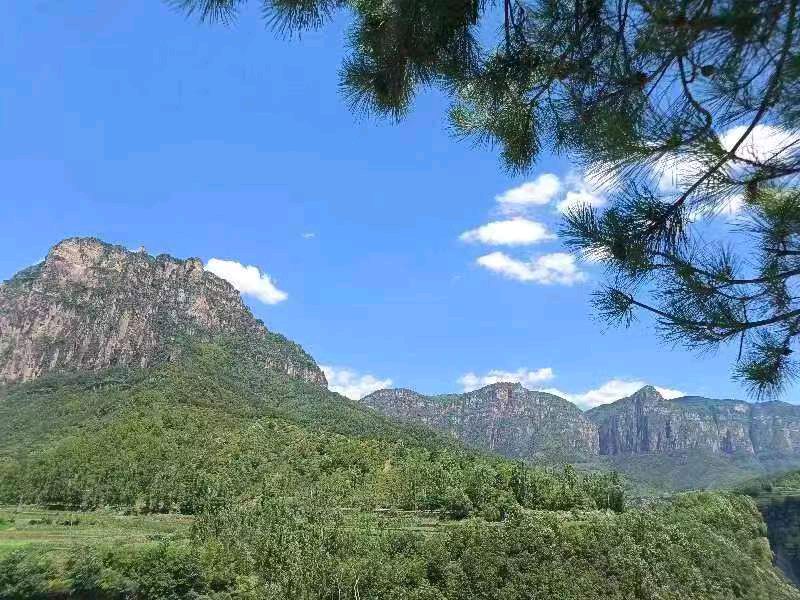七律·暑游随感 文/张玉书 京津沪头条
