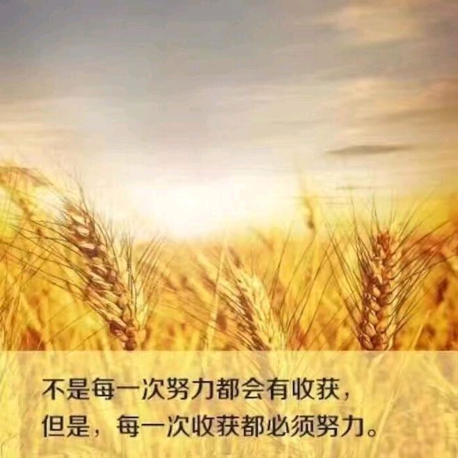 弘华朗诵【初秋寄语】作者/王全新（图5）