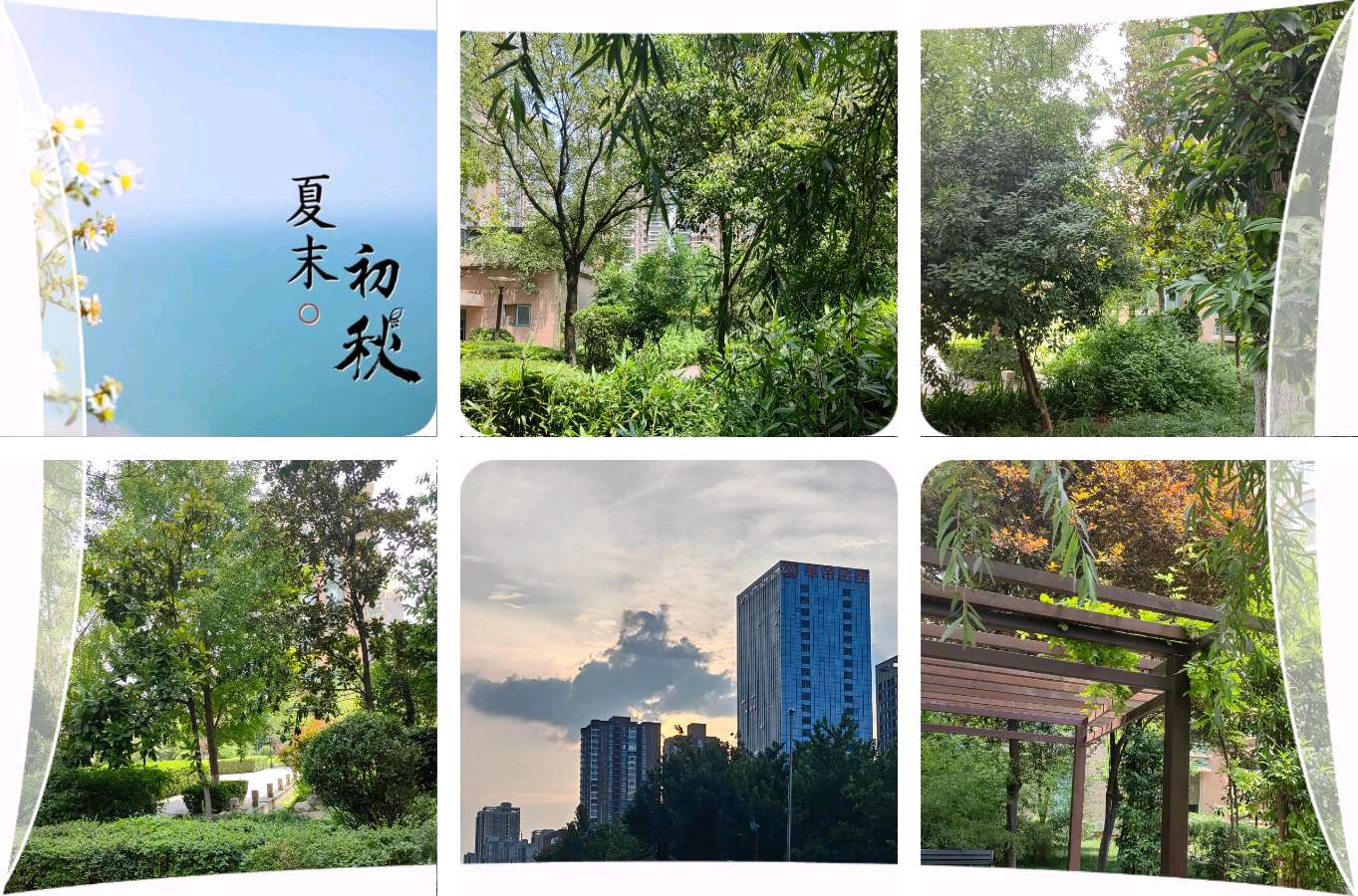 【✍锦园·随記】h34《📸摄影長安》（第九集）（图3）