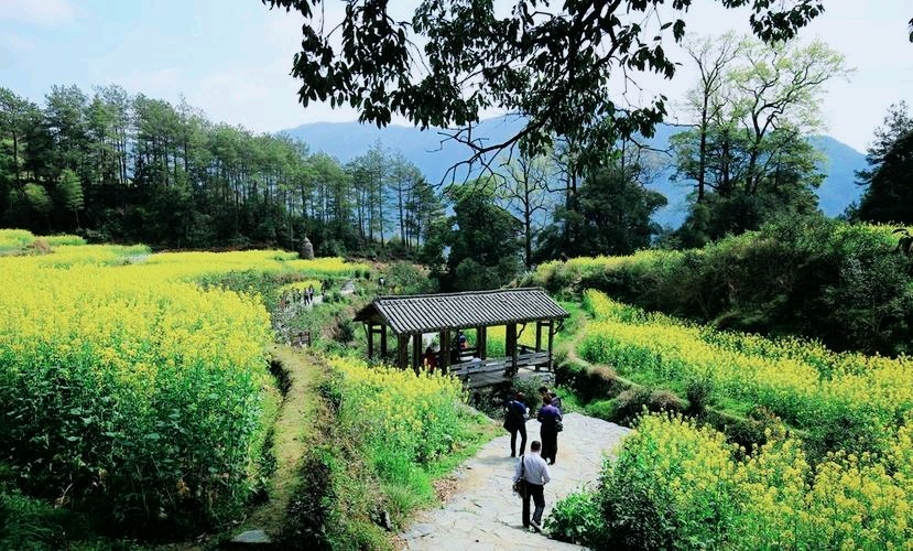 《九江文学社：北京头条》《名家专刊》战斗英雄傅塘根书记箴言精选【总第1773期】（图22）