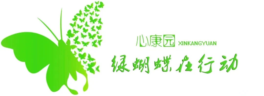 “绿蝴蝶”正飞向更远的蓝天——记黑龙江省心康园精神康复救助基金会创办的“绿蝴蝶在行动”,作者多多