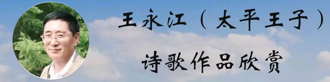 中华诗艺黑龙江分社微刊第171期(图20)