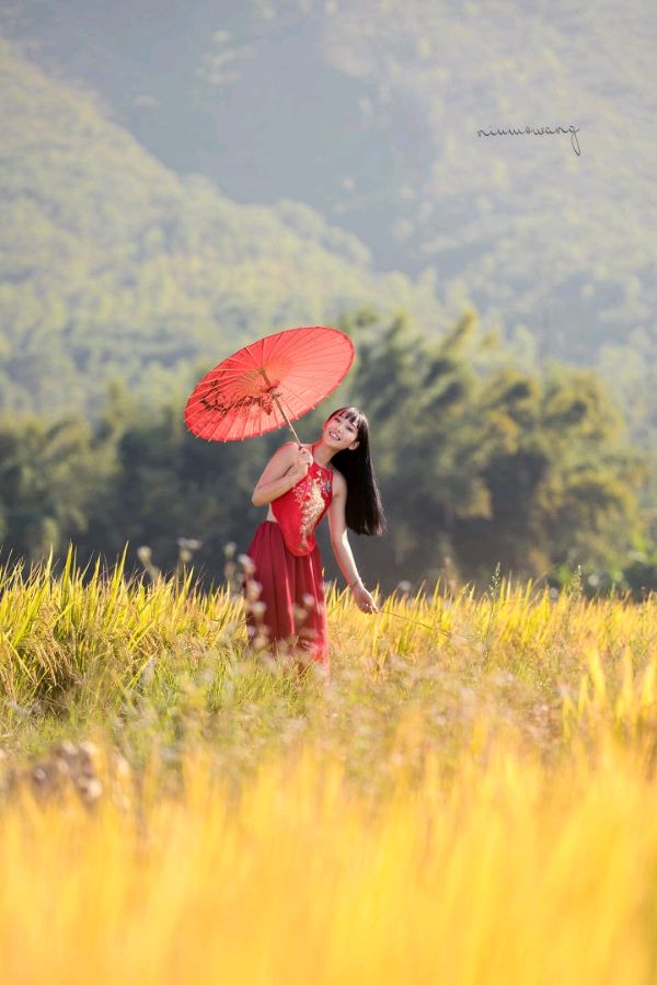 七律-雨落初秋～诗║杨景儒（图12）