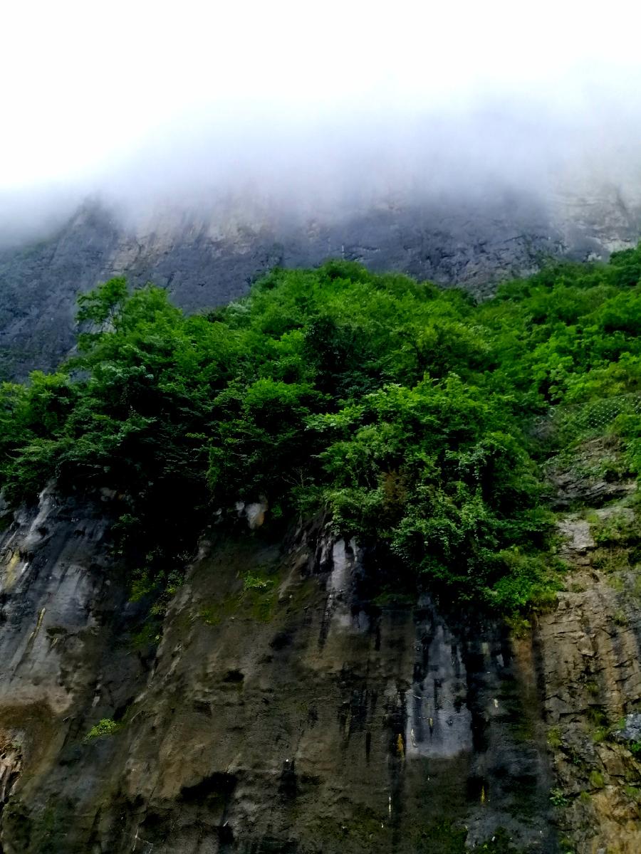 江冲立秋词三首（图12）