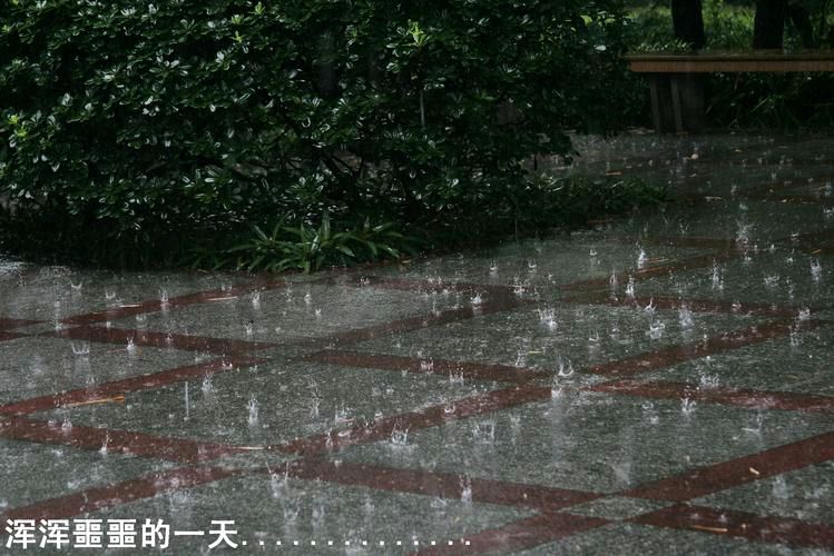 《遇雨偶题·题锦鲤荷花图》作者:东方【主播:马志宏】【中国现代诗歌文化传媒】古韵♬展示（图4）