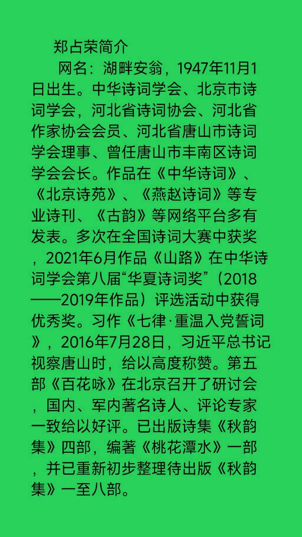 中华诗艺黑龙江分社微刊第171期(图18)