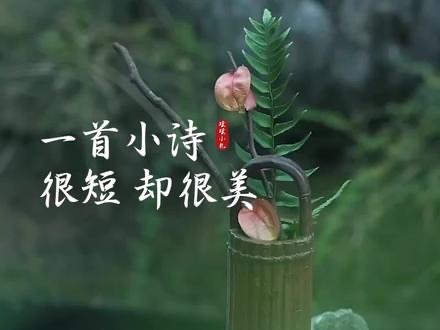 【海外诗译】精品双语朗诵《生命的春天》作者|高溪溪、英译|静好、审译&朗诵|薇薇(图5)