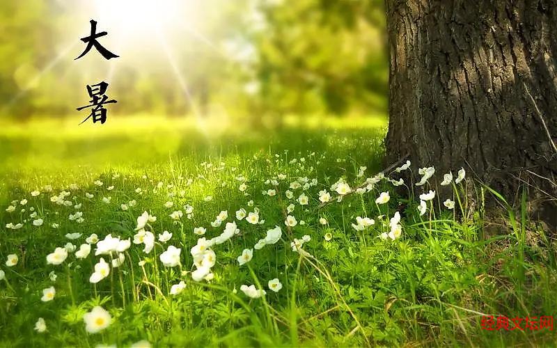推荐丨许日辉 七绝《癸卯大暑节气有感》十二首(图3)