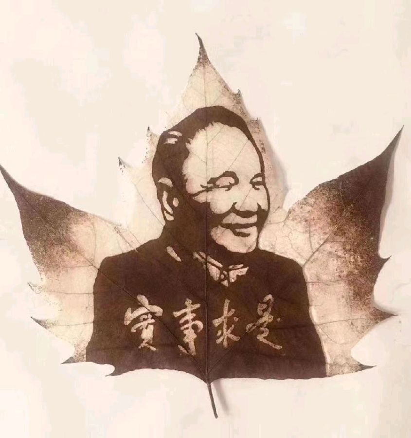 赞唐海书叶画 | 王云剑（图5）