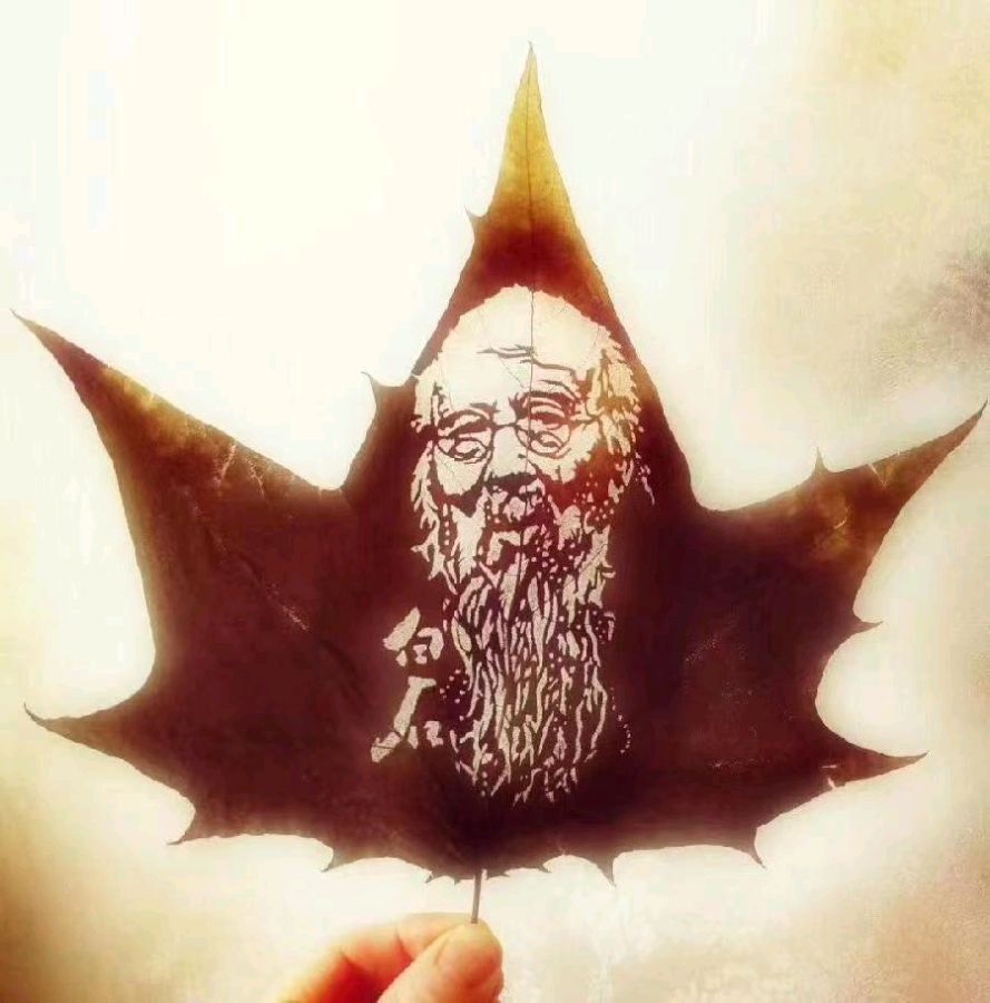 赞唐海书叶画 | 王云剑（图6）