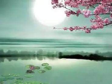 《都是月亮惹的祸》王佐臣(图2)