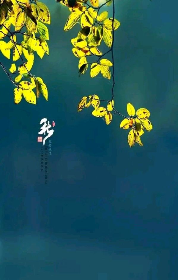 七律-孟秋感吟～诗║杨景儒（图8）
