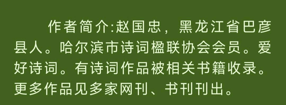 中华诗艺黑龙江分社微刊第173期(图116)