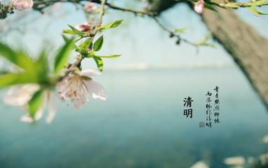 《清明·惊蛰·咏梅》作者:王士泽【主播:崔东梅】【中国现代诗歌文化传媒】古韵♬ 展示（图4）