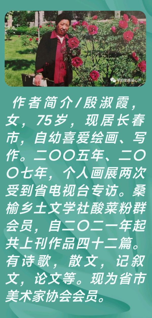 多才多艺的75岁知性女子——殷淑霞(图10)