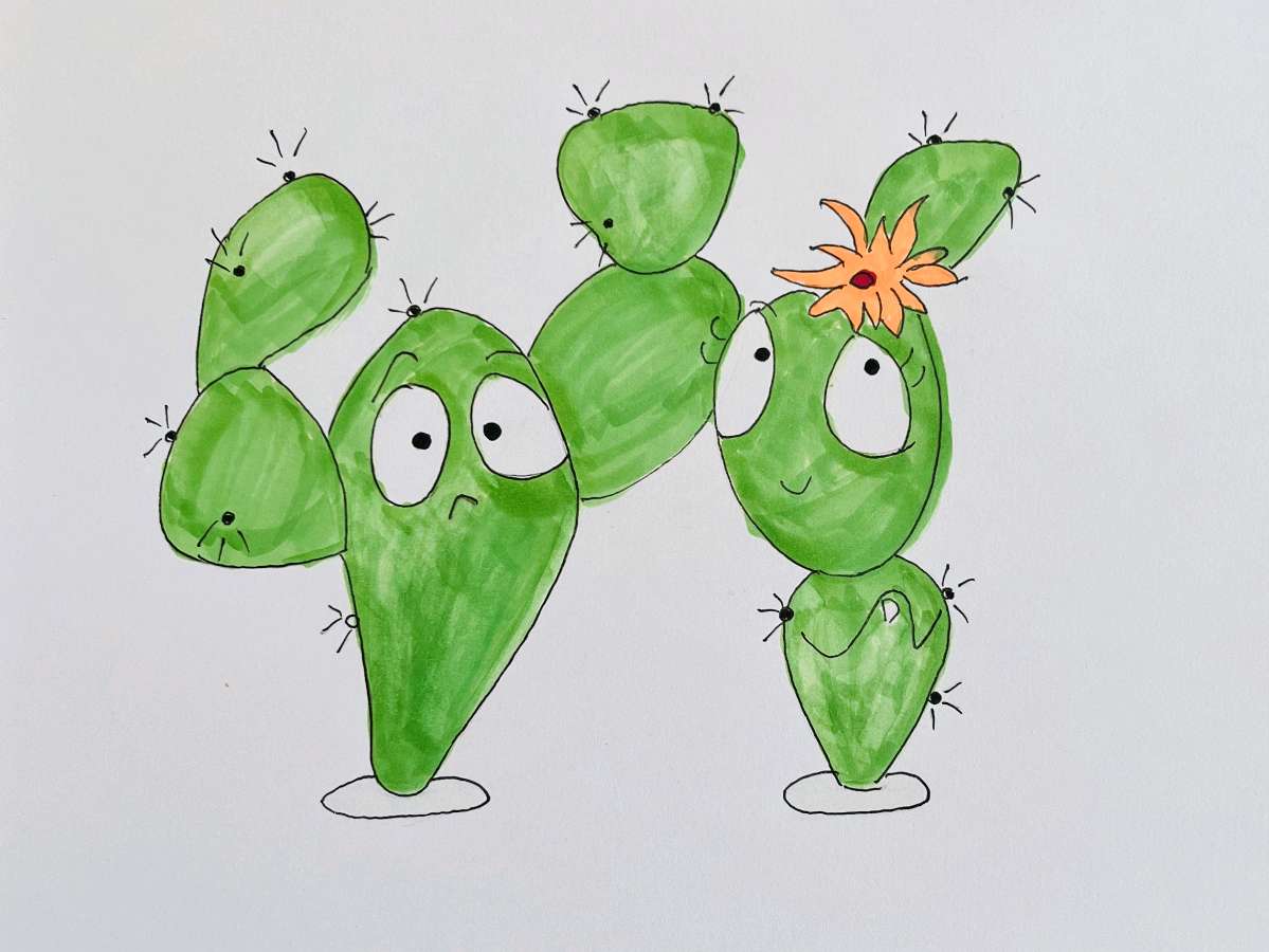 娅莉彩色简笔画连载第二辑（图7）