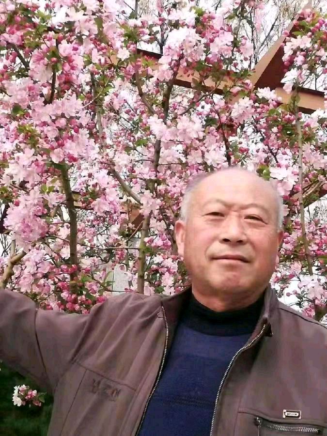中华诗艺黑龙江分社微刊第174期(图38)