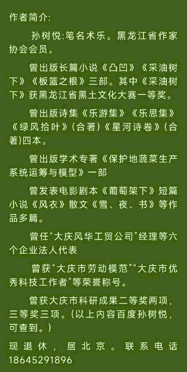 中华诗艺黑龙江分社微刊第174期(图43)