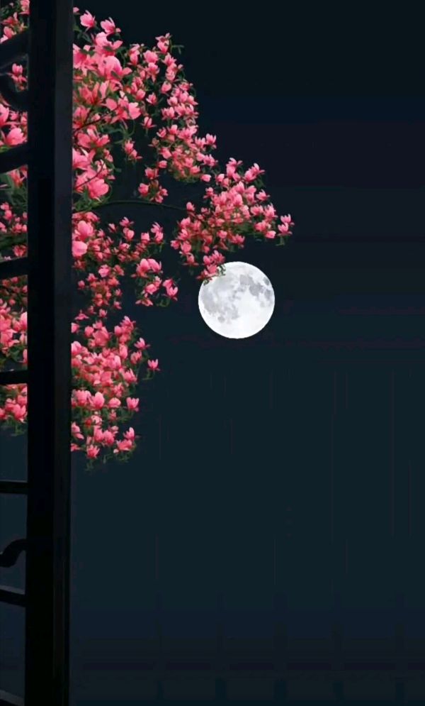 *八月迎秋风* （外一首） 文/轻风（甘肃）【冰心文化传媒】（图4）