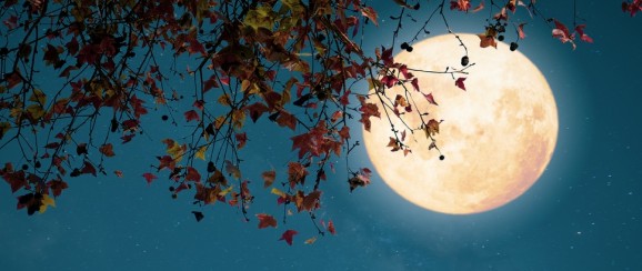 请欣赏冯国平 何丽华原创民谣新曲《长沙夜 夜长沙》（图3）