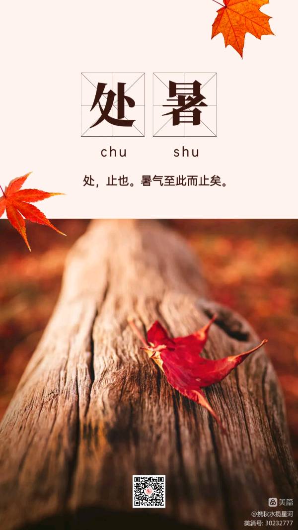 中华诗艺黑龙江分社微刊第175期(图34)