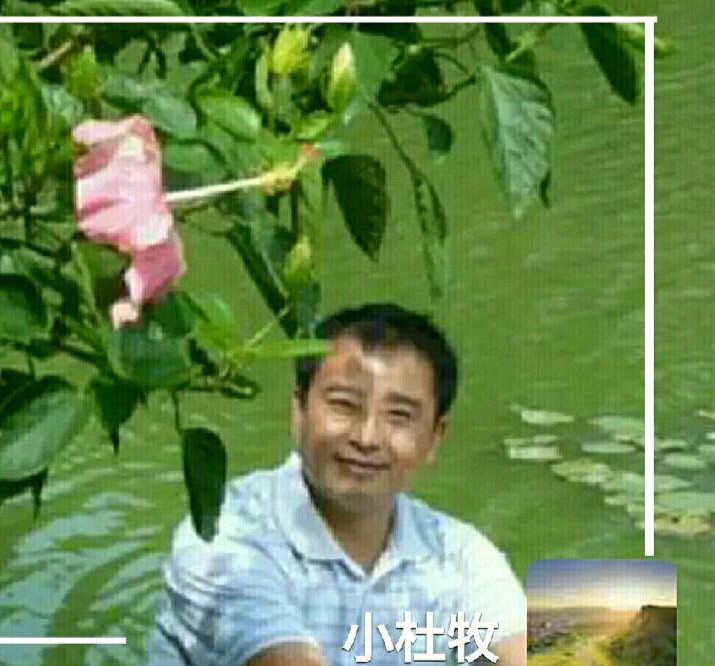 【新山东文学社】《七律诗一组（五首）》作者/小杜牧 主播/风和日丽（图6）