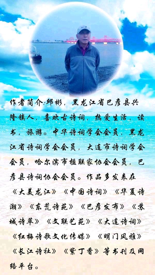 中华诗艺黑龙江分社微刊第138期(图28)