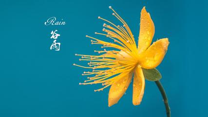 《谷雨/·白露/·秋分》作者:王士泽‖主播:马志宏【中国现代诗歌文化传媒】古韵♬ 展示（图5）