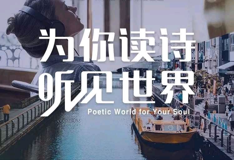 《谷雨/·白露/·秋分》作者:王士泽‖主播:马志宏【中国现代诗歌文化传媒】古韵♬ 展示（图2）