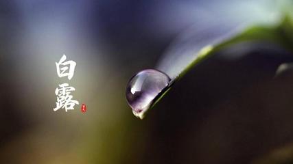《谷雨/·白露/·秋分》作者:王士泽‖主播:马志宏【中国现代诗歌文化传媒】古韵♬ 展示（图6）