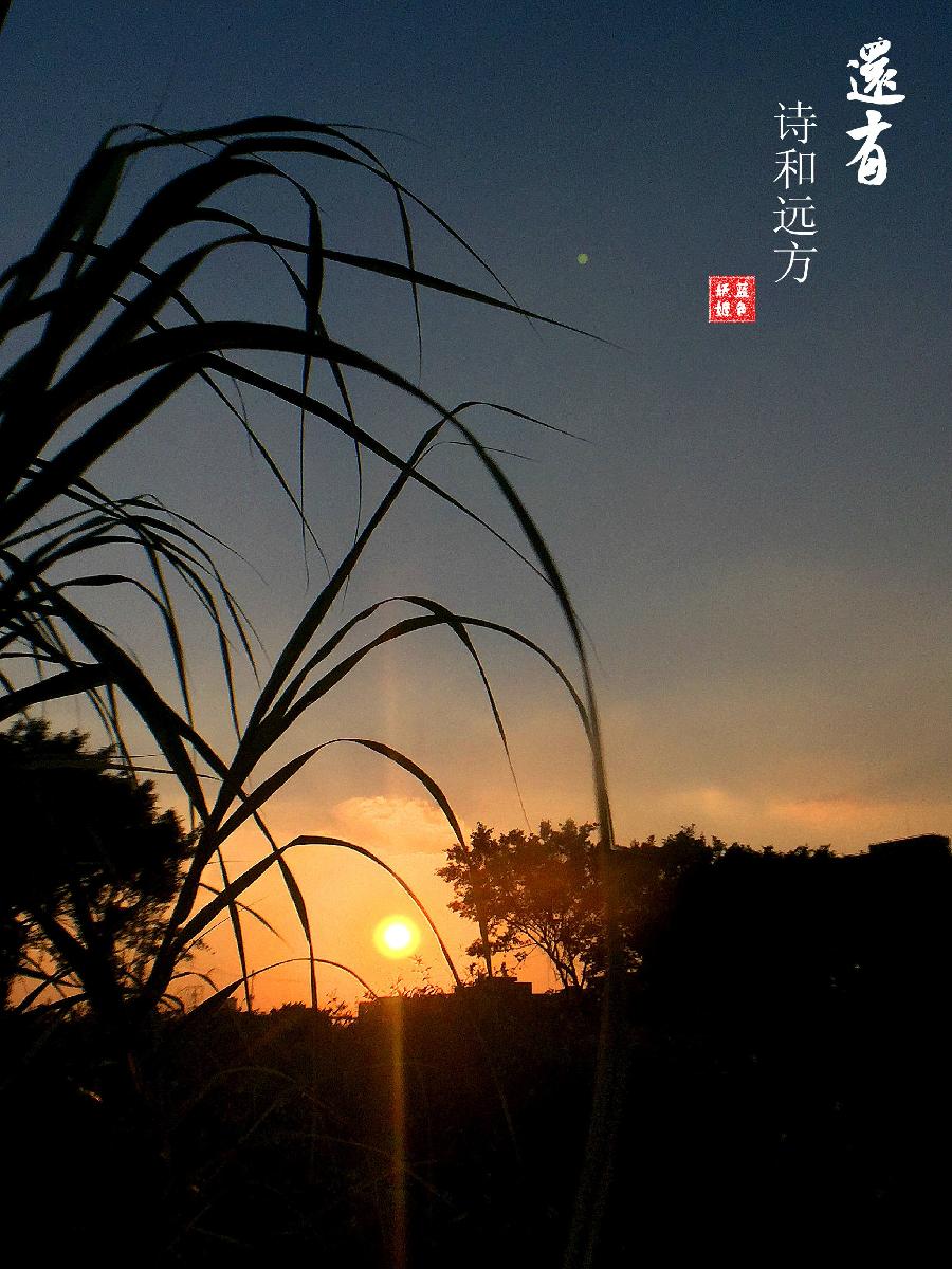 张昕七绝秋思六首（外二首）（图9）