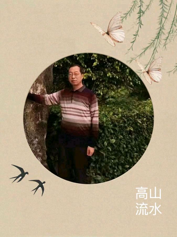 中华诗艺黑龙江分社微刊第176期(图61)