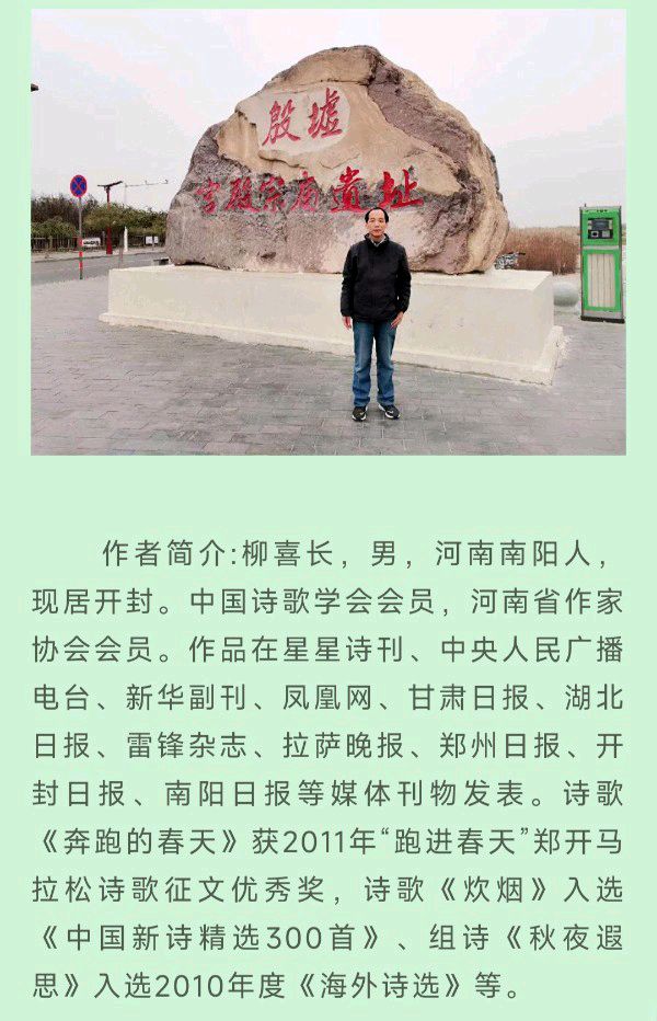 中华诗艺黑龙江分社微刊第176期(图86)