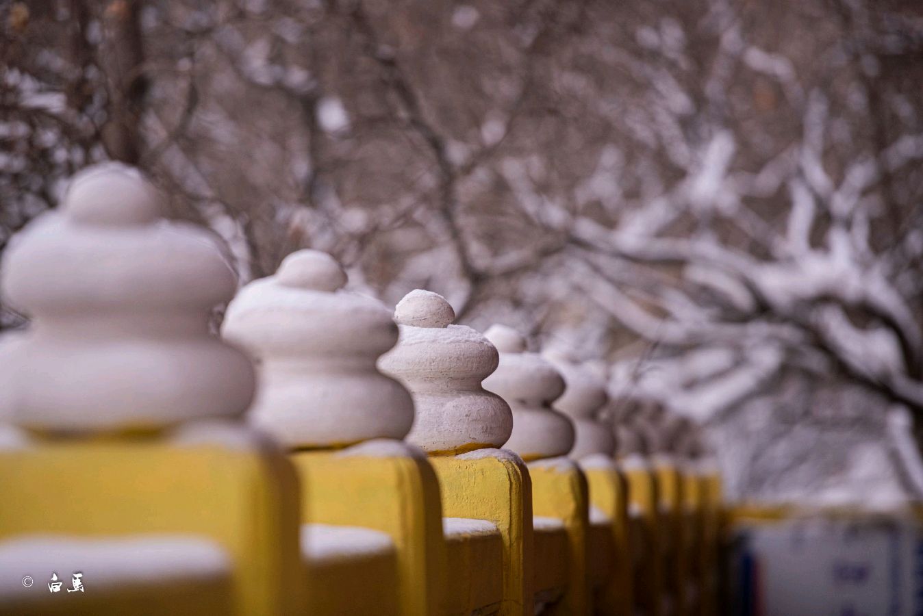 泰山朗诵【暖雪】作者/宋文舜(图5)