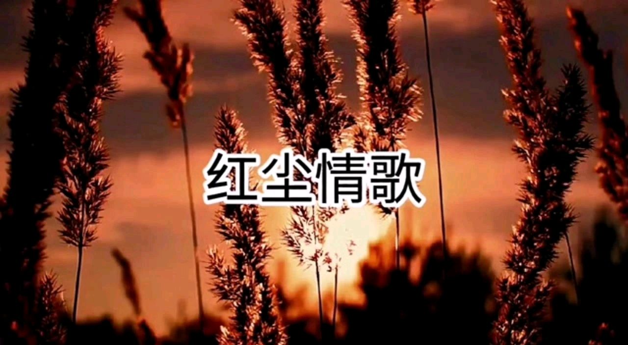 岁月——读书感怀～诗║李耀文（图12）