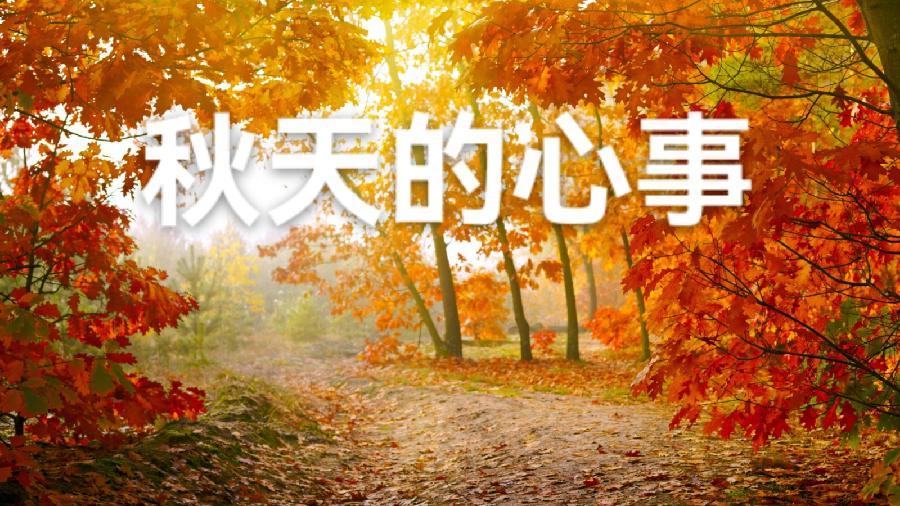 易栋萍：秋天的心事
