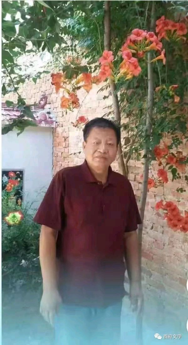 琦琦赵朗诵【爱护连翘】作者/牟新宇（图2）