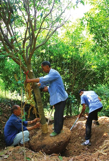 【荣耀中国】七律·贺诞辰作者/薛有毅（山西榆次）（图3）