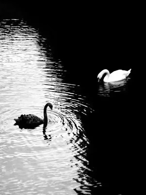 《北美翰苑散文诗社》王香兰诗选(图2)