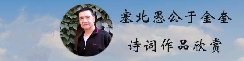 中华诗艺黑龙江分社微刊第178期(图10)