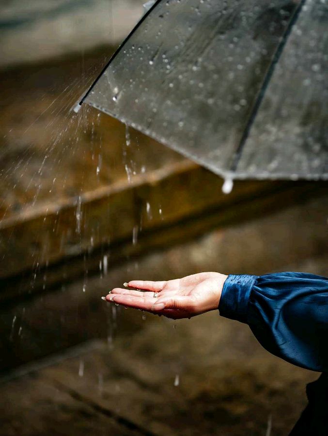 唯美诗作 【从雨中走来】作者/朗诵/侯全义（图3）