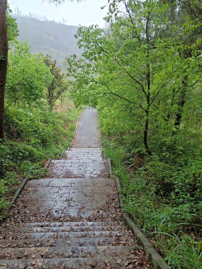 唯美诗作 【从雨中走来】作者/朗诵/侯全义（图6）