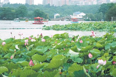 白玉恩老师作品专辑/制作宋梅【中国长江文学社】有声文学平台【第6276期】（图19）
