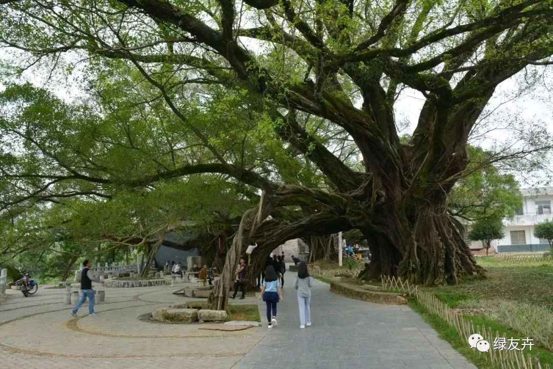 鹊桥之上皆是七夕(原创)(图7)